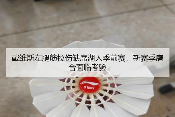 戴维斯左腿筋拉伤缺席湖人季前赛，新赛季磨合面临考验