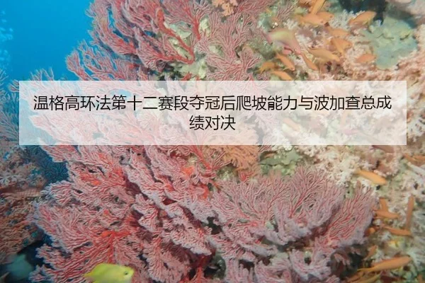 wen-ge-gao-huan-fa-di-shi-er-sai-duan-duo-guan-hou-pa-po-neng-li-yu-bo-jia-cha-zong-cheng-ji-dui-jue-3-261.jpg
